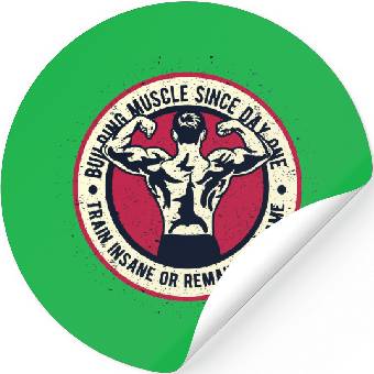 Building Muscle Train Insane or Remain The Same Stickers Building Muscle Train Insane or Remain The Same Stickers