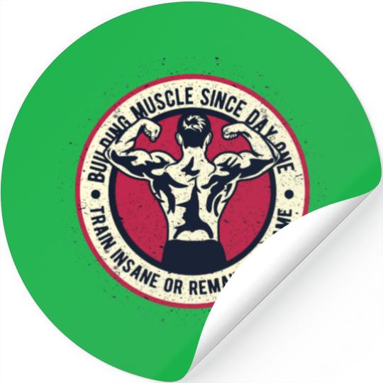 Building Muscle Train Insane or Remain The Same Stickers