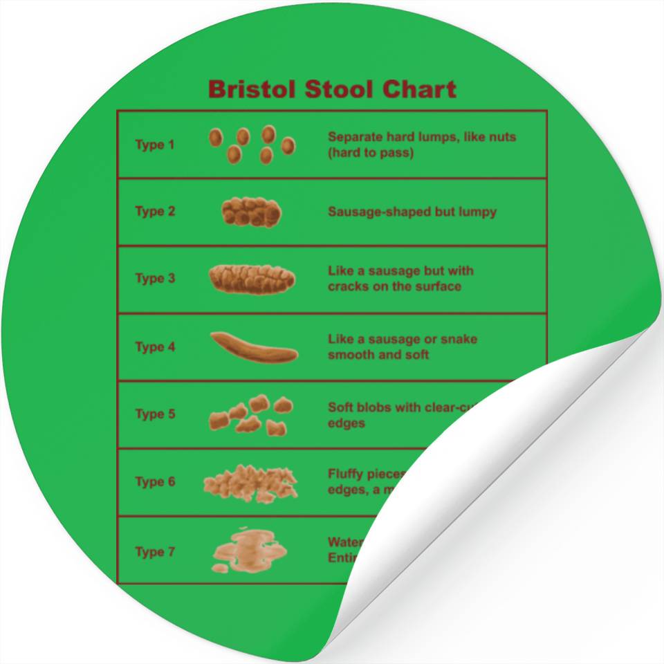 Bristol Stool Chart Scale Designed And Sold By Brian Evans