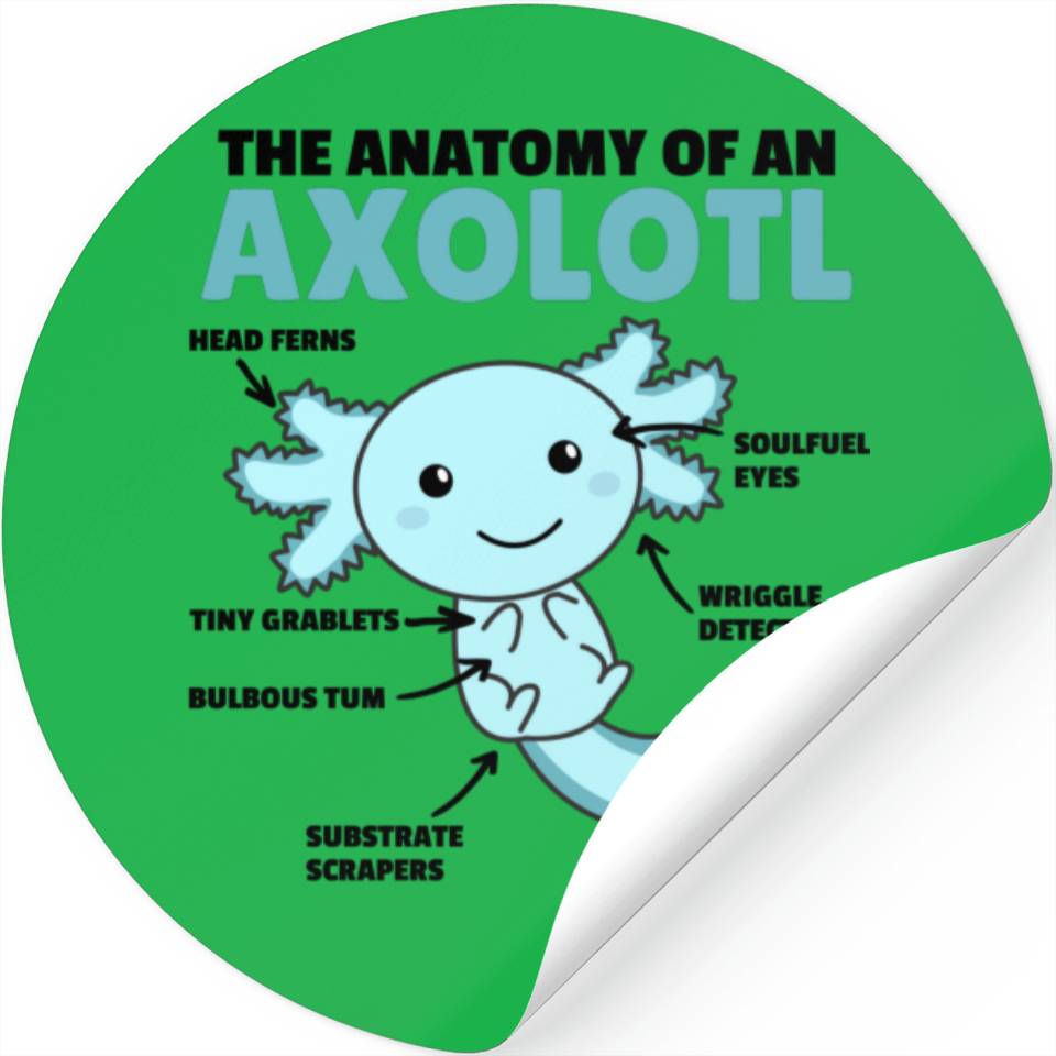 Axolotl Explanation Anatomy Of An Axolotl Stickers Designed & Sold By ...