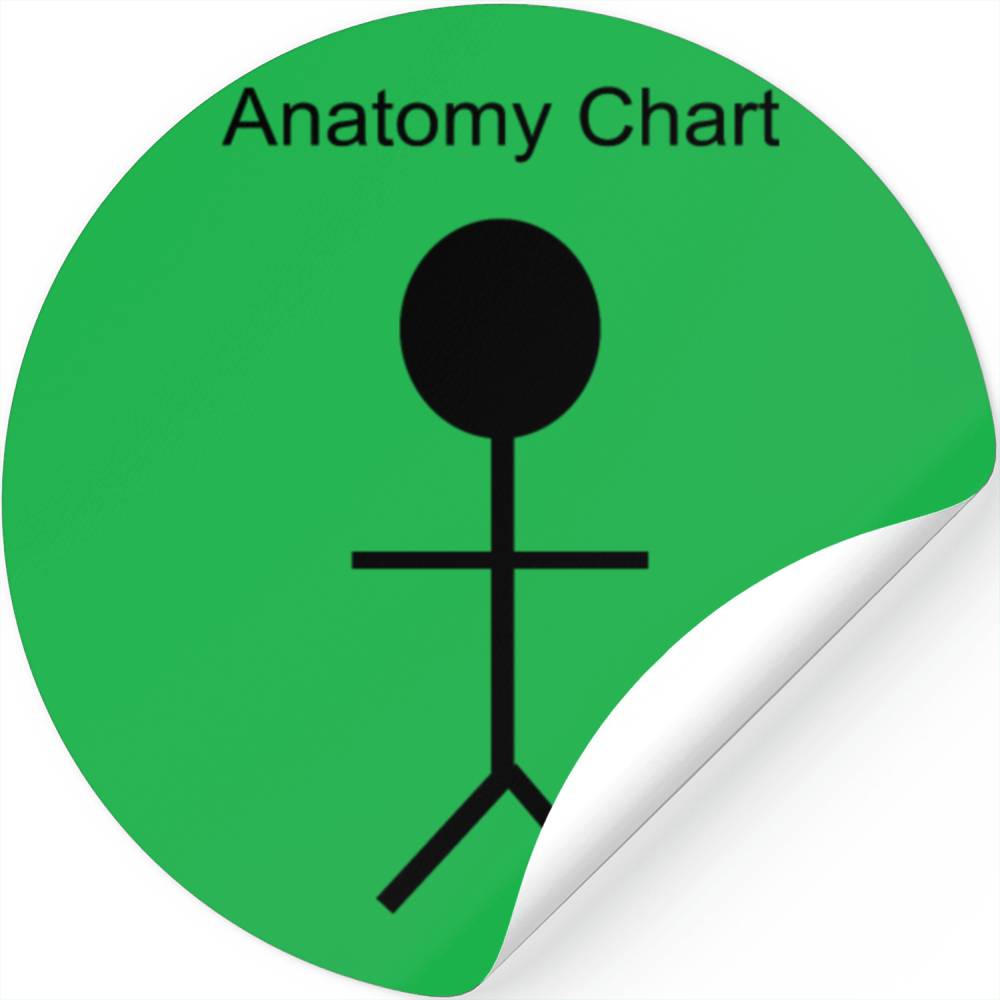 Anatomy Chart