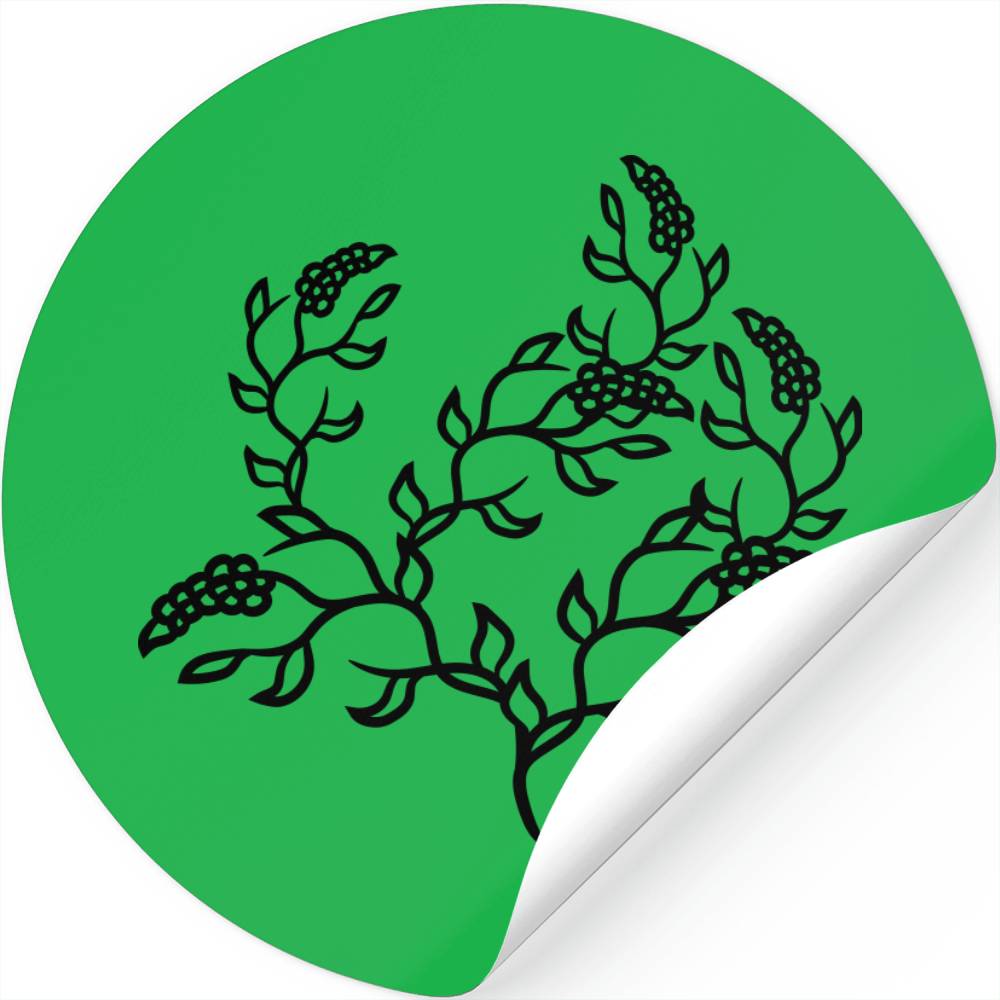 Shrubs Tree Tendrils Flower Shrub Plant Greenhouse