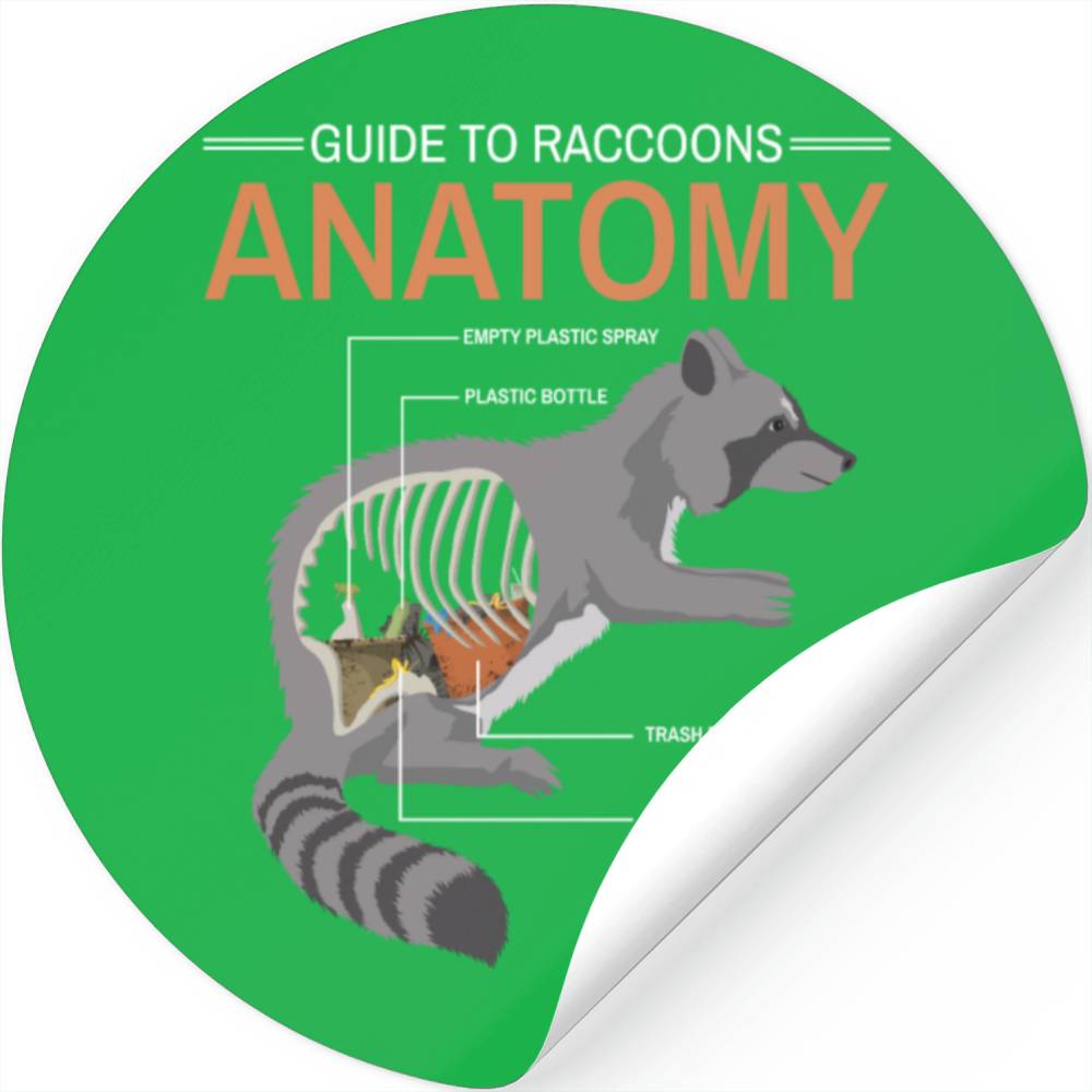 Guide Anatomy Raccoon