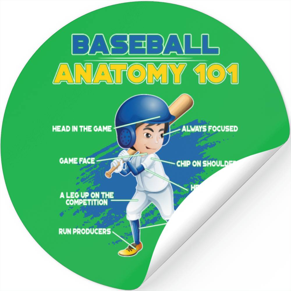 Anatomy Of The Baseball