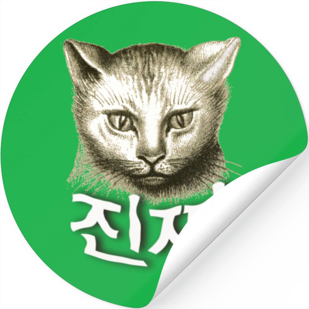 Korean Hangul Chincha Cat
