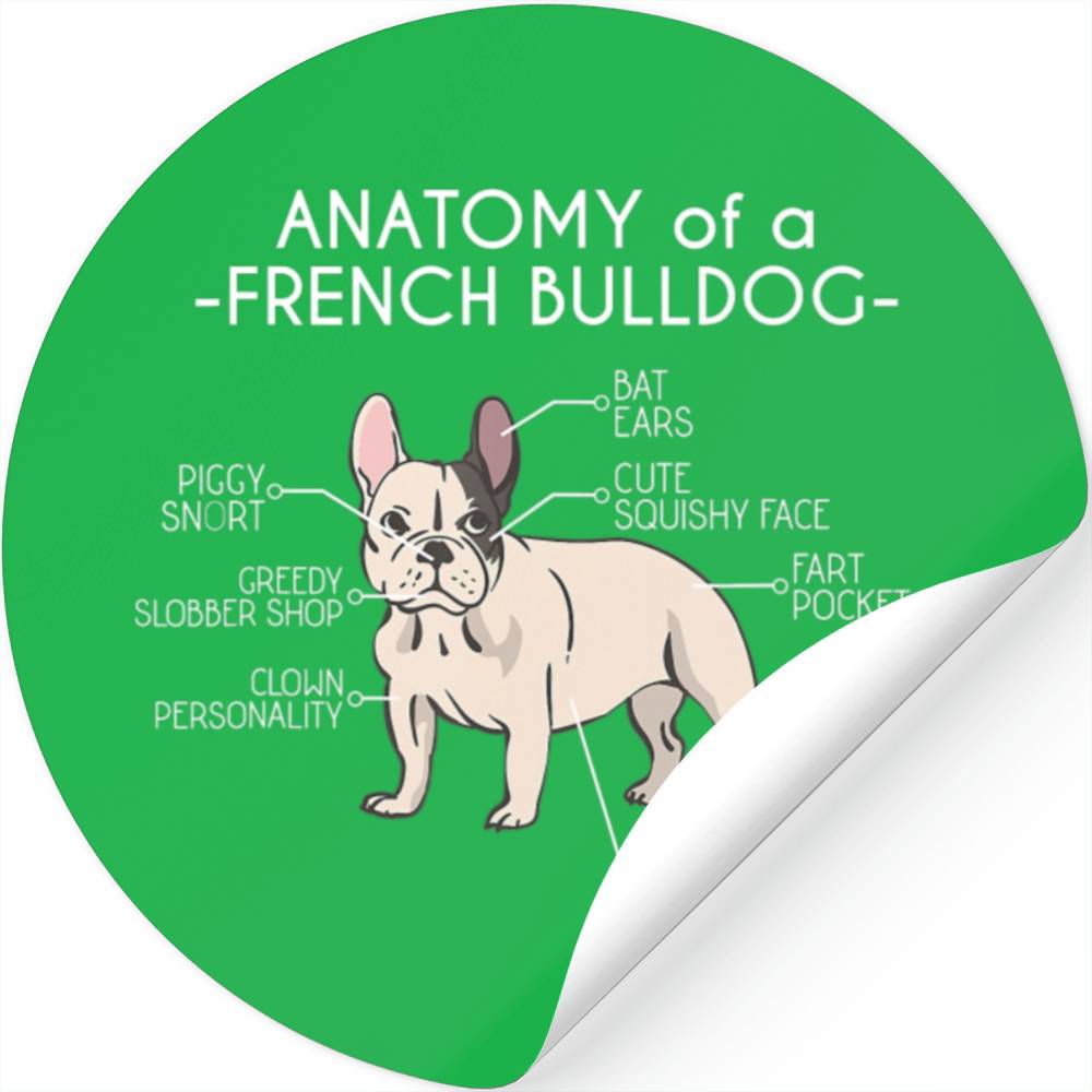 Anatomy Of A French Bulldog