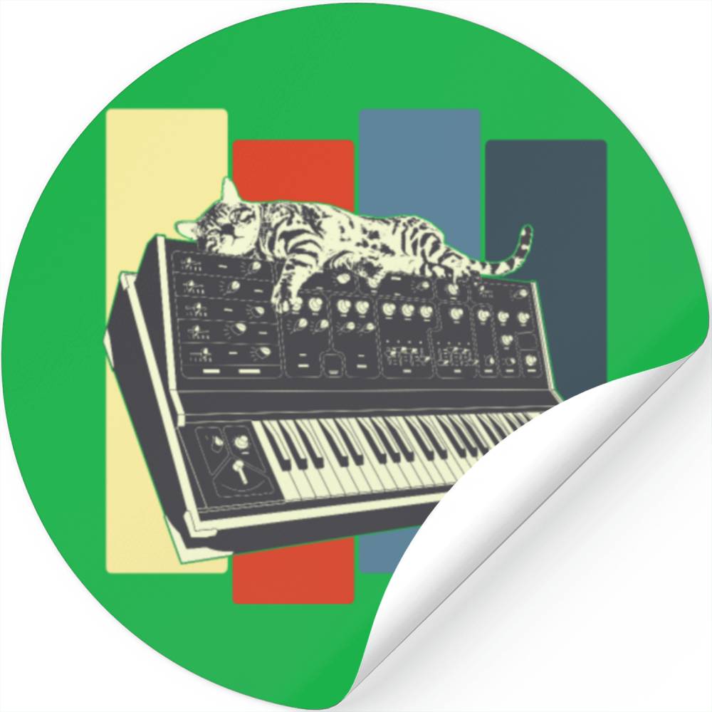 Modular Synthesizer Keyboard Vintage Analog Cat