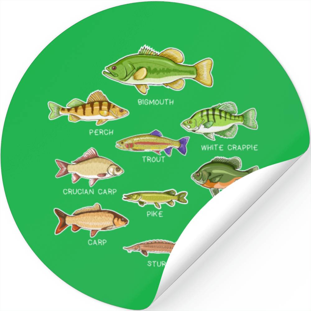 Types Of Freshwater Fish Species Biology Fishing