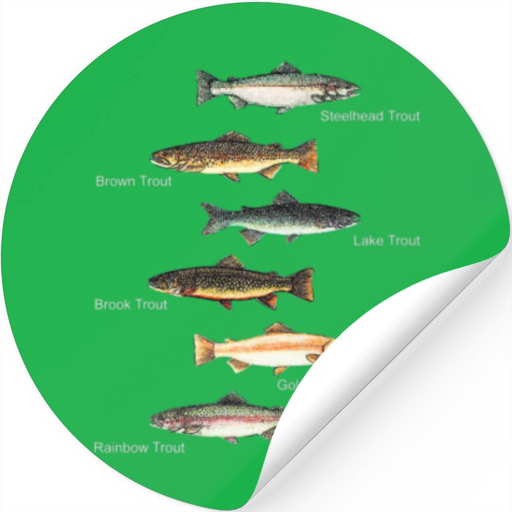 Types Of Trout Fish Species Collection Fishing Stickers