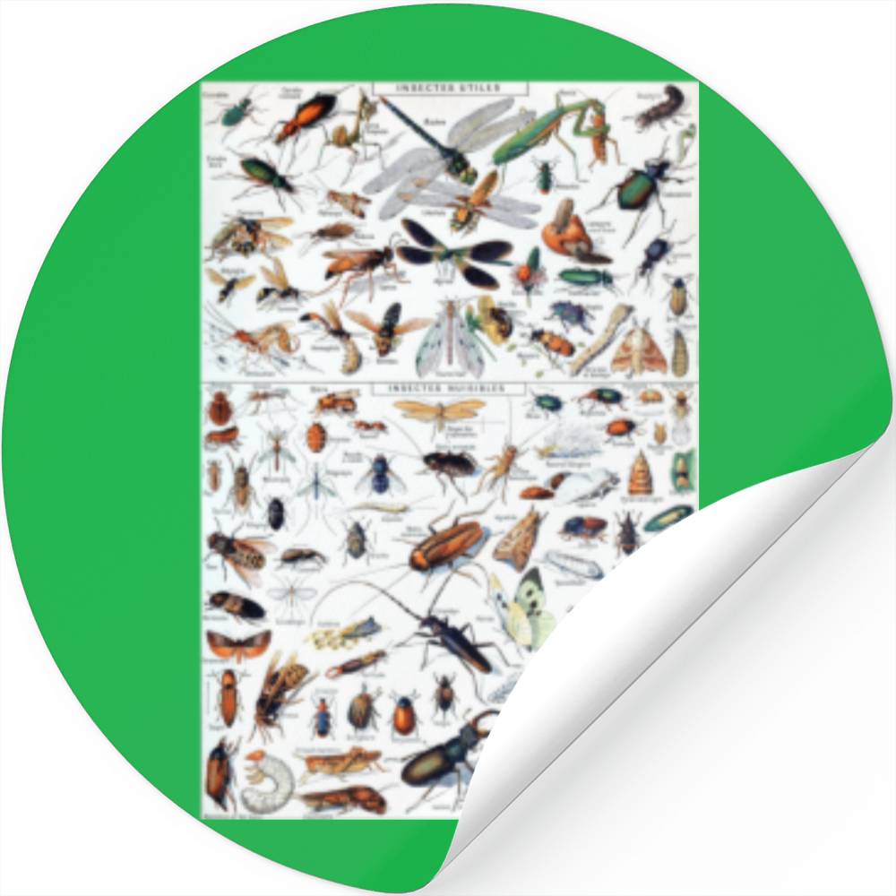 insect-identification-chart-stickers